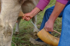 tradicion asturias