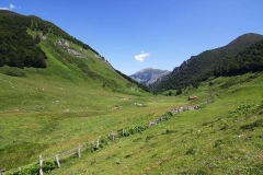 ventaniella
