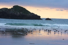 playa asturias