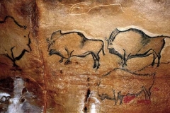 bisontes-cueva